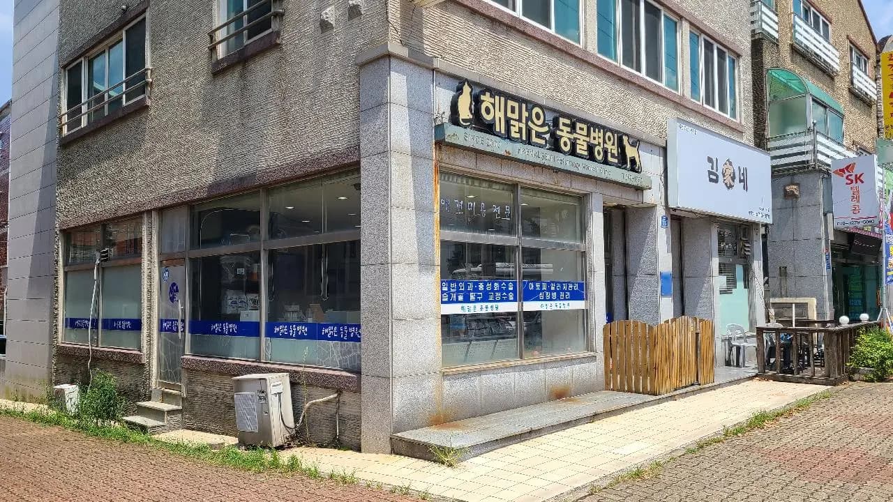 해맑은동물병원