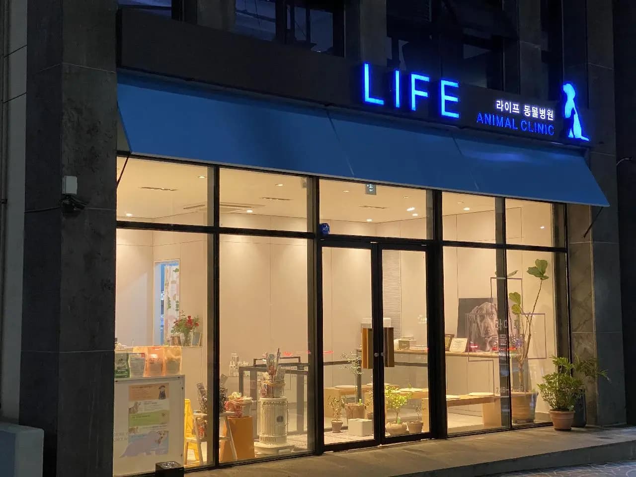라이프동물병원