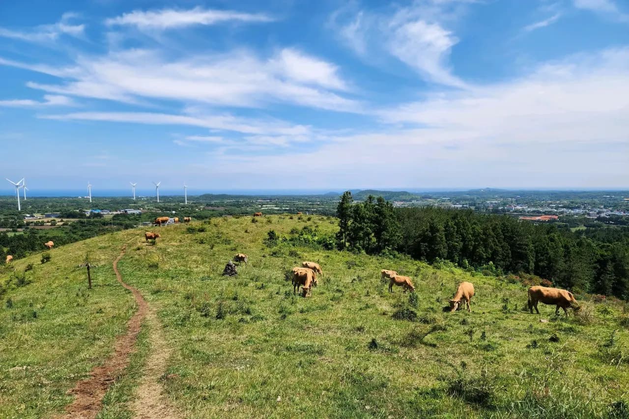 영주산