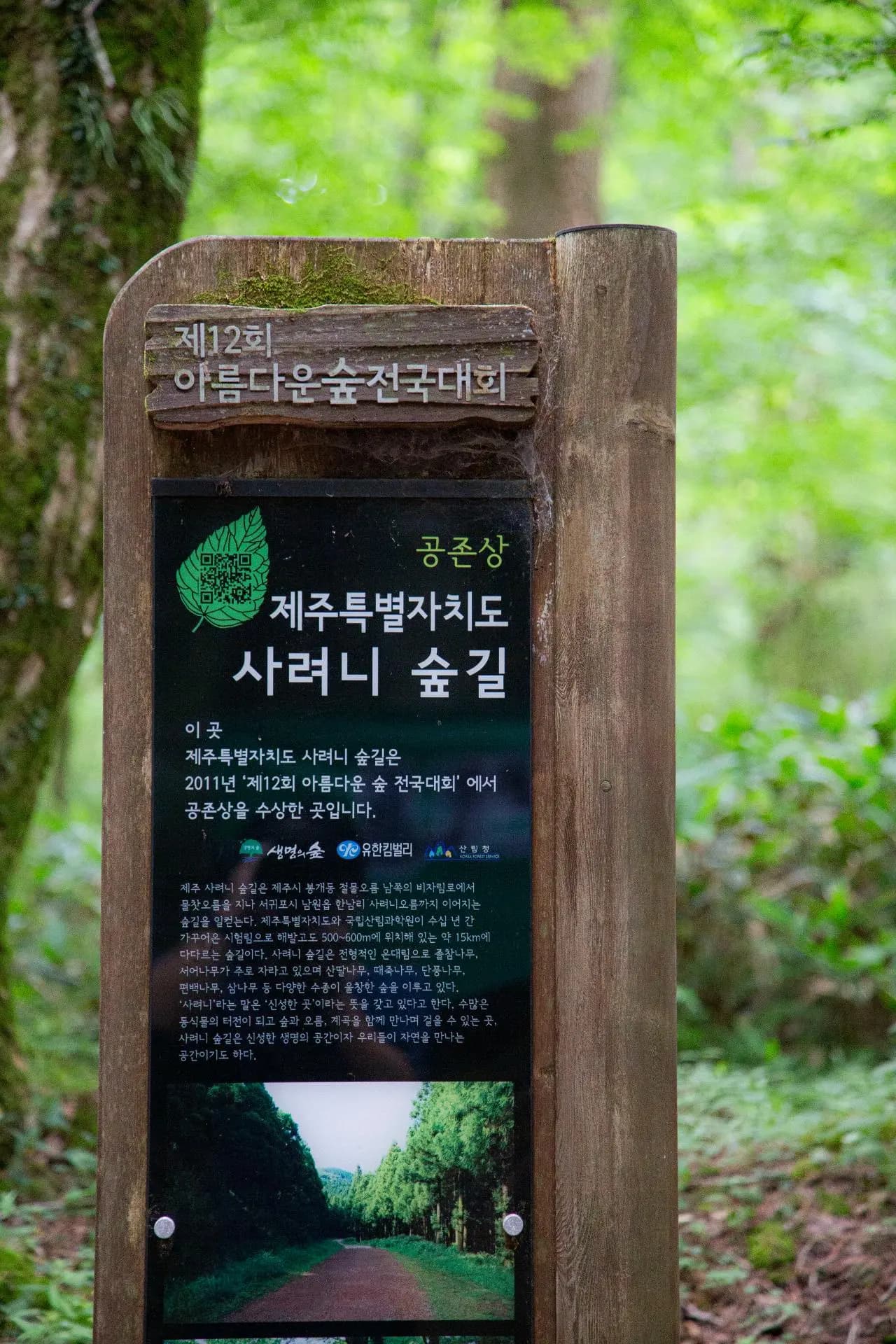 사려니숲길