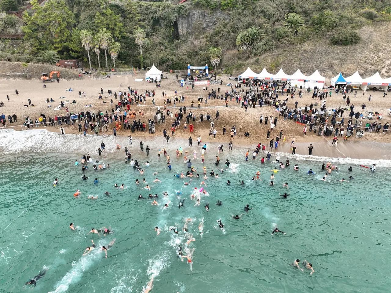 Seogwipo Winter Sea International Penguin Swimming Festival (2024 Festival has been cancled)