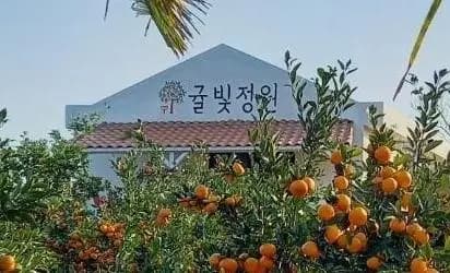 귤빛정원 감귤체험농장