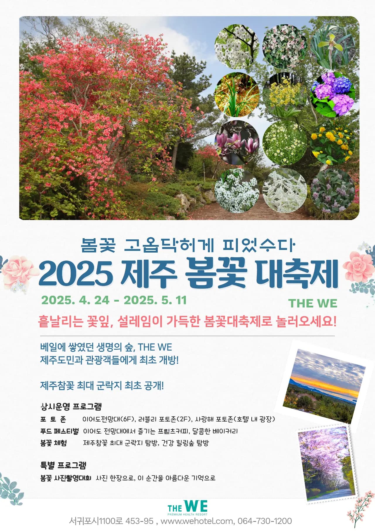 THE WE 2025 제주 봄꽃 대축제