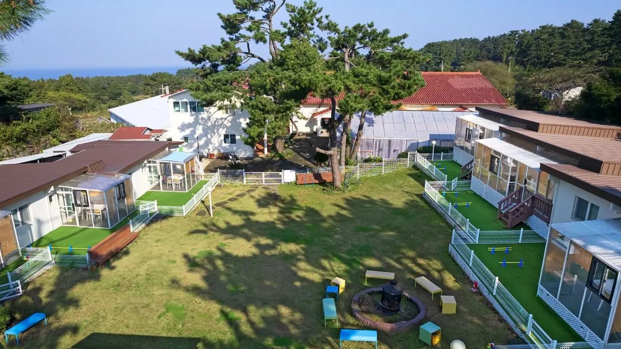 제주댕댕이파크 리조트