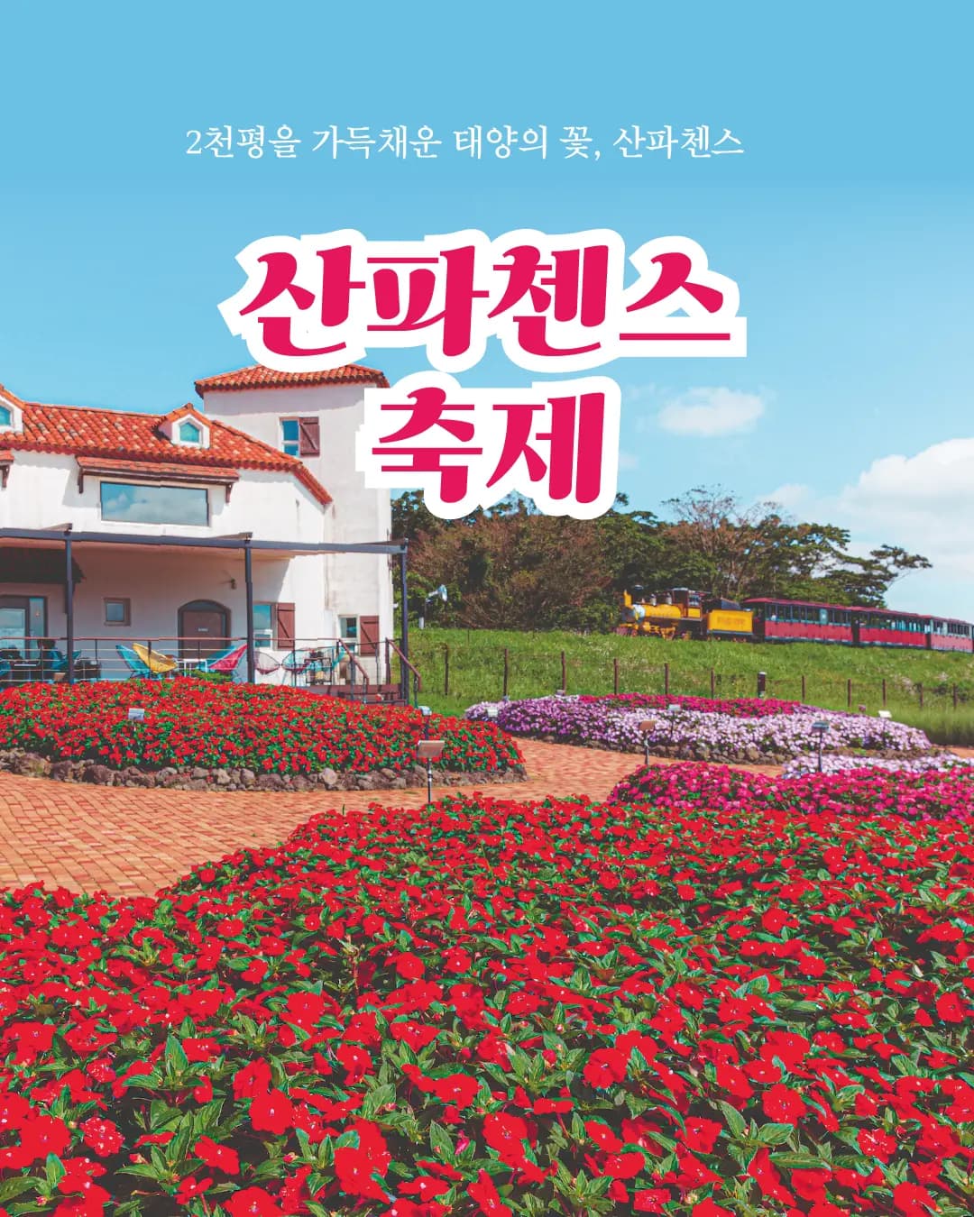 에코랜드 산파첸스 축제