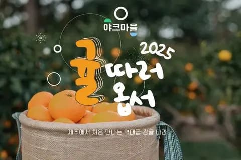 2025 귤 따러 옵서