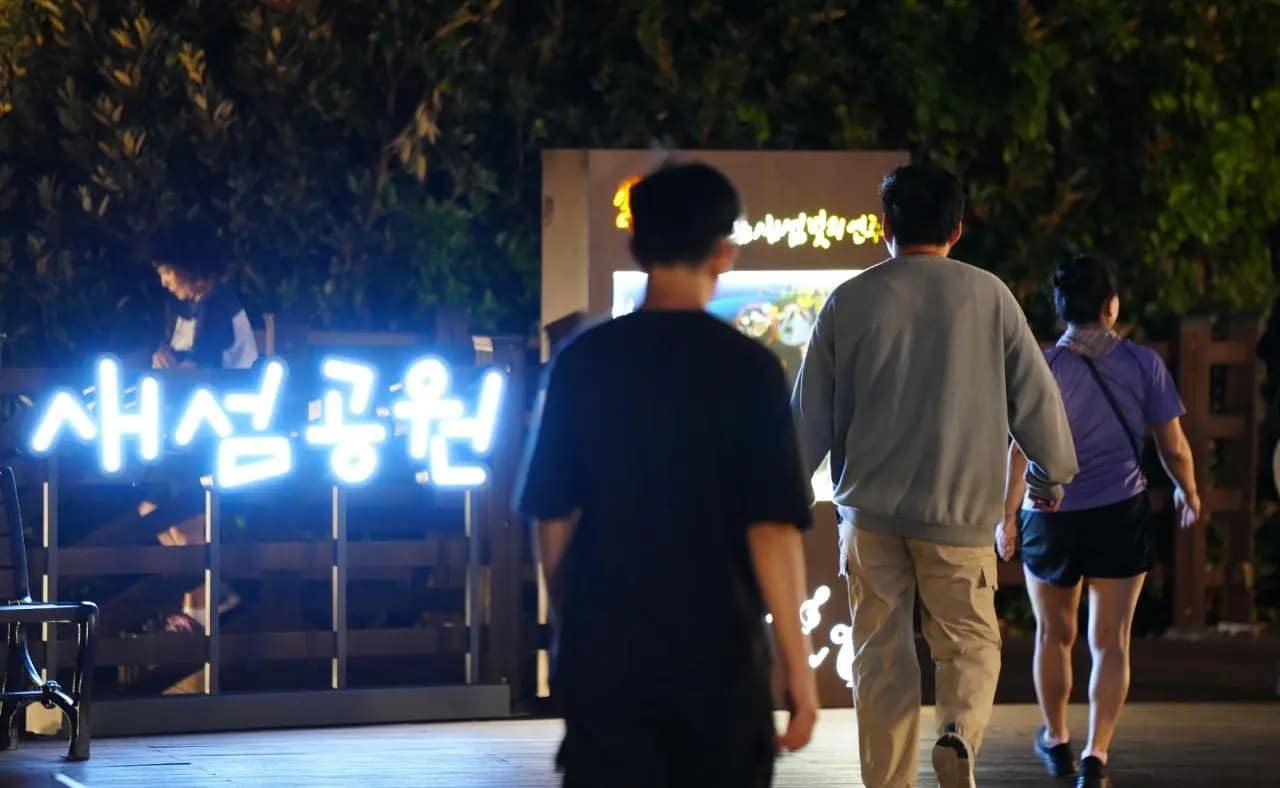 일몰과 함께 시작되는 새섬 빛의 연주 