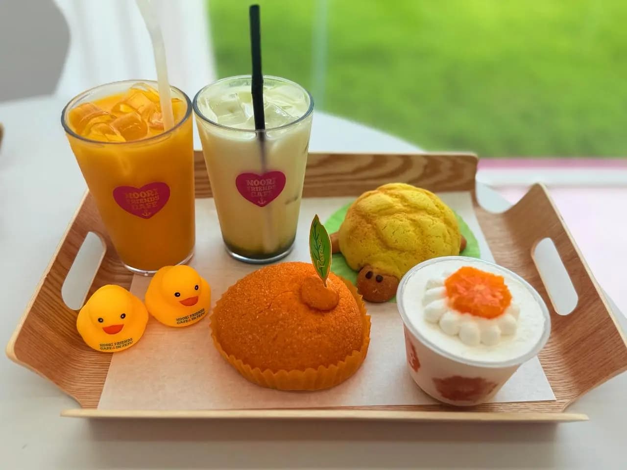 누리프렌즈카페인제주