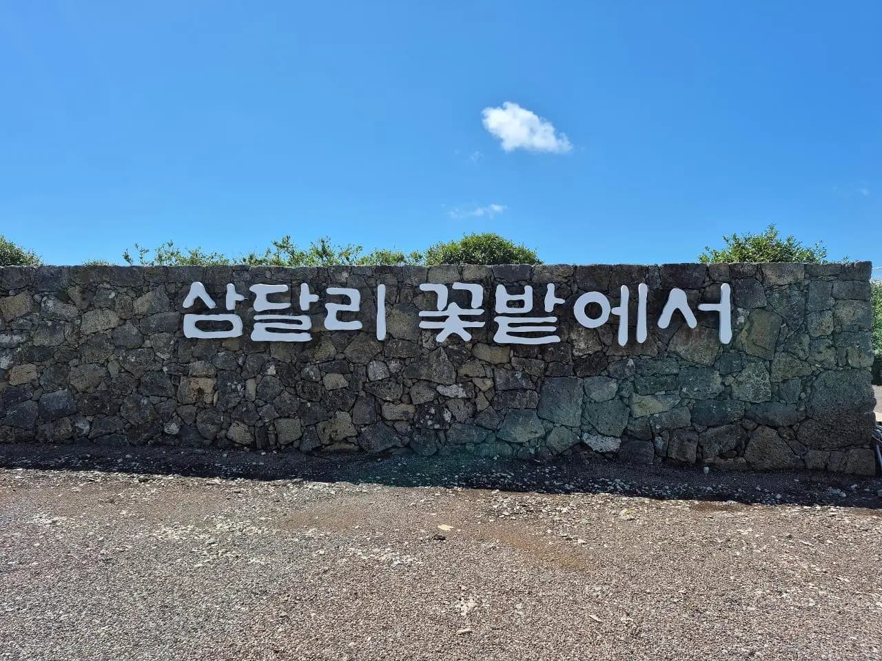 삼달리꽃밭에서
