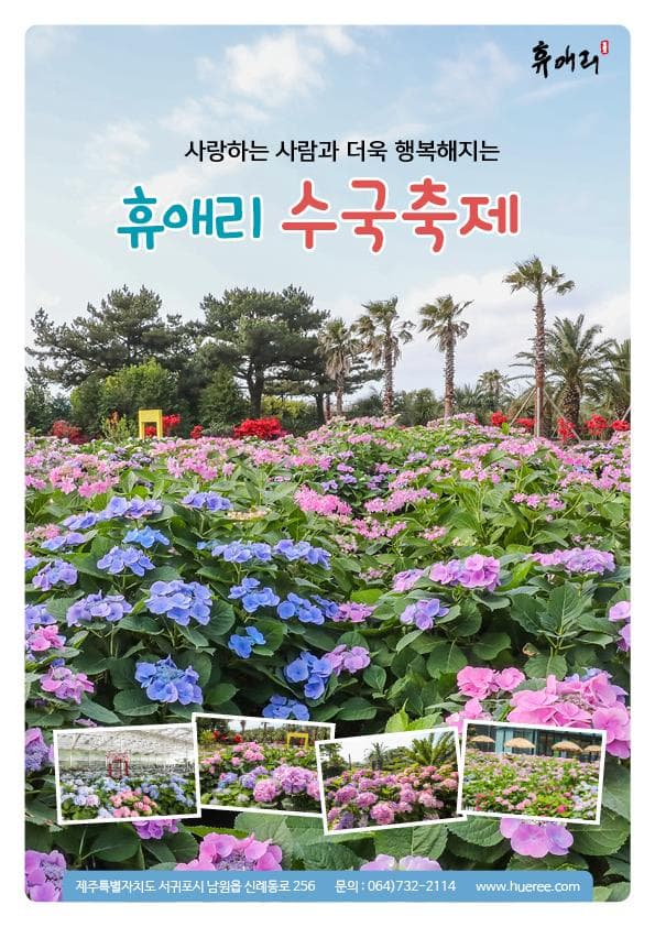 휴애리 수국축제