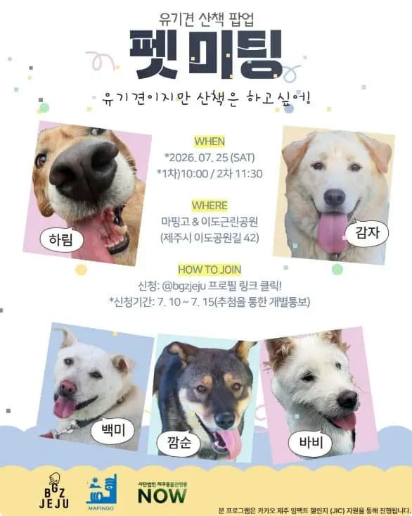 유기견 산책 팝업 <펫 미팅> 