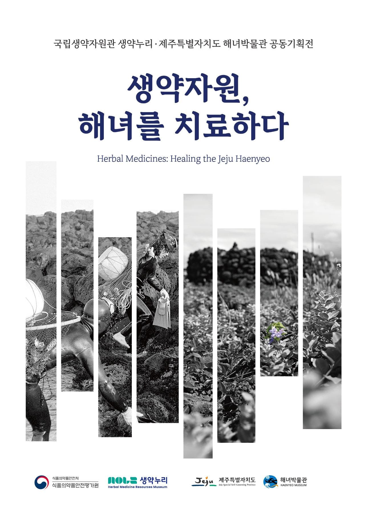 생약자원, 해녀를 치료하다