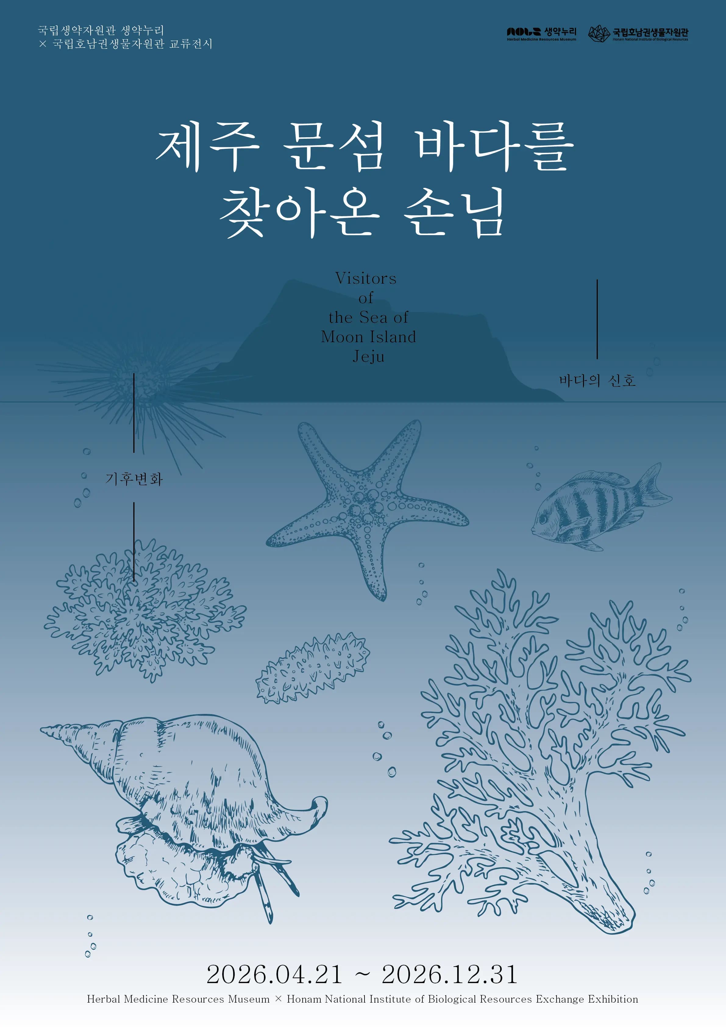 제주 문섬 바다를 찾아온 손님