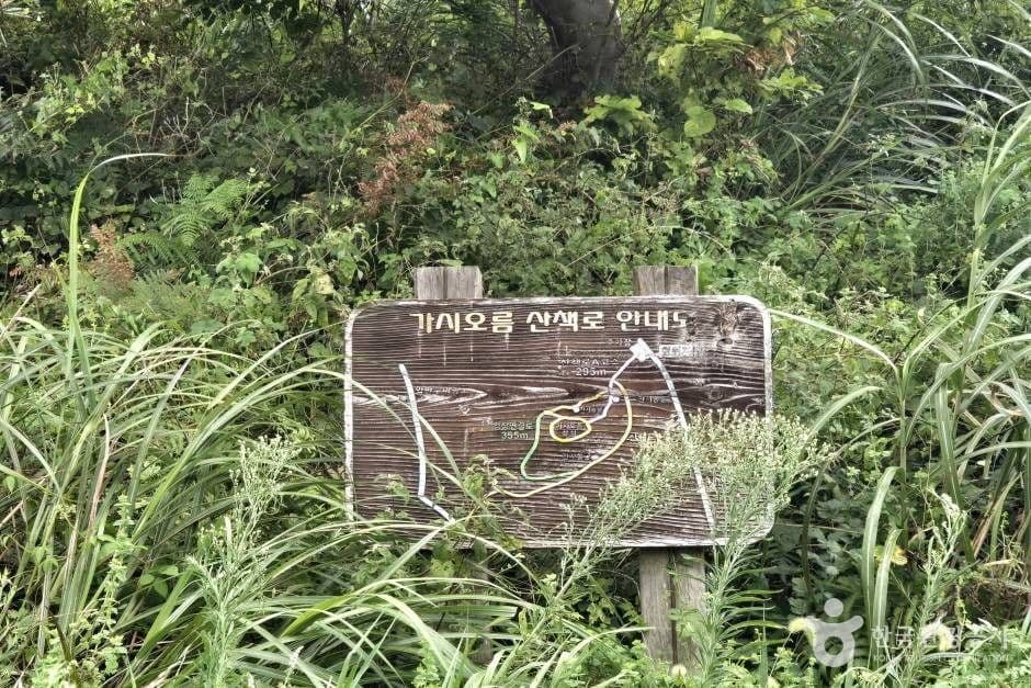 가시오름