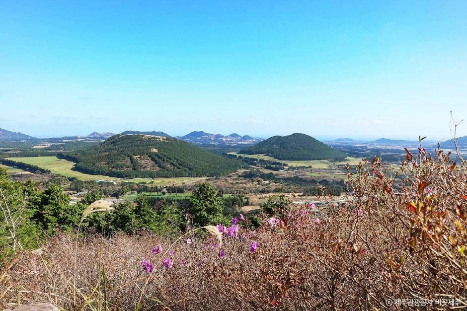성불오름