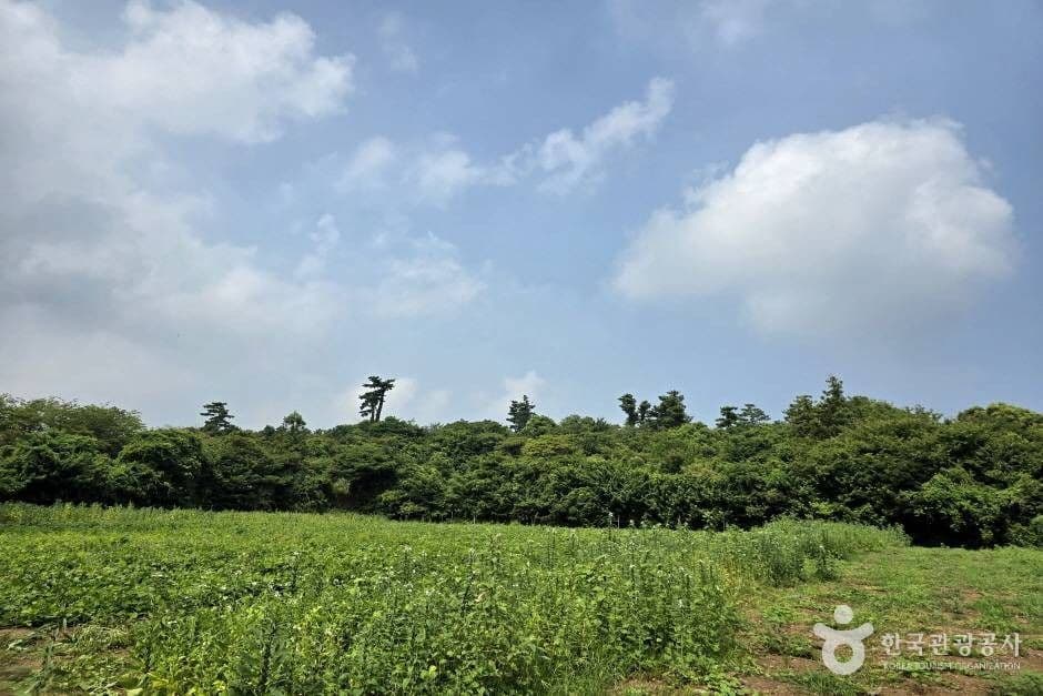 가새기오름